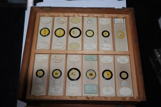 Two cases of scientific microscope slides many by Dareston, Birmingham